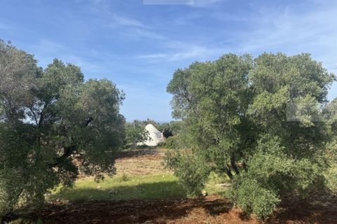 Helårsgrund i Carovigno, Brindisi, Carovigno - € 60.000 | Ref: tem3 - foto 4